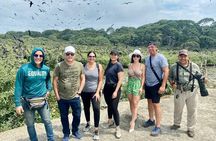 Full Day Tour Mangroves Dolphins and Birds from Guayaquil 