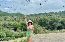 Full day : Forest and the fisherman Trail (From Guayaquil)