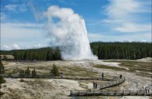 Yellowstone Private Tour Up To 14 - A Surprise Activity Included