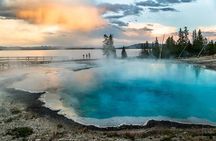 Yellowstone Private Tour Up To 14 - A Surprise Activity Included