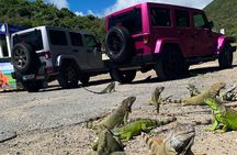 Guided Jeep Tour Exploring French and Dutch St Maarten