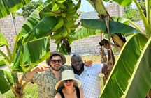 Montego Bay Sightseeing, Shopping and Bamboo Rafting