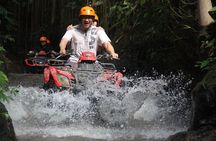 Ubud's Thrilling ATV Tandem Rides 