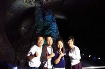 Jeju Island Private Tour-World Natural Heritage & Beautiful Beach