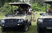 Chobe Day Trip From Livingstone