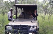 Chobe Day Trip From Livingstone