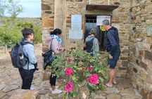 Naxos Half Day History and Culture Guided Tour