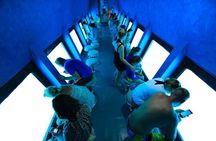 2 Hours Catamaran and Semi Submarine with Snorkeling in Hurghada