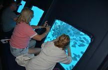 2 Hours Catamaran and Semi Submarine with Snorkeling in Hurghada