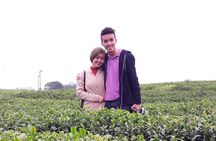 Jeju Island Private Taxi Tour in O`sulloc & Innisfree & Iho Beach