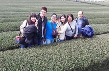 Jeju Island Private Taxi Tour in O`sulloc & Innisfree & Iho Beach
