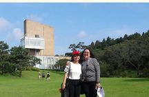 Jeju Island Private Taxi Tour in O`sulloc & Innisfree & Iho Beach