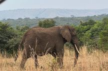 One Day Akagera National Park Safari From Kigali