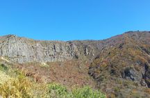 Jeju Island Private Taxi Tour: Mt. Hallasan and Waterfalls