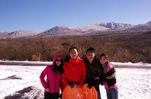 Jeju Island Private Taxi Tour: Mt. Hallasan and Waterfalls