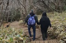 Jeju Island Private Taxi Tour: Mt. Hallasan and Waterfalls