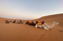 3-Day Fes to Marrakesh Desert Private Tour