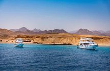 Ras Mohammed and White Island Snorkeling Sea Trip with Lunch