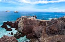 Mazatlan Sightseeing and Shopping Tour