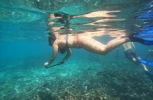 Snorkelling tours to Daymaniyat island 
