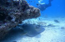Snorkelling tours to Daymaniyat island 