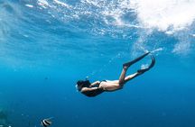 Snorkelling tours to Daymaniyat island 