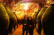 2 wineries tasting & quaint villages 6 hours wine tour in Madrid