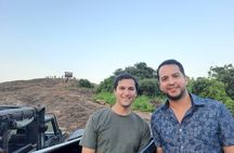  Private Sigiriya Day Tour and Authentic Sri Lankan Lunch Buffet 