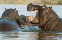 Victoria Falls Sunset Cruise 