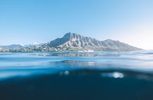 Waikiki Whale Watch & Cultural Stories: Sightings Guaranteed