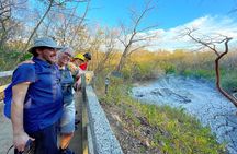 Rincón de la Vieja volcano hike & hot springs full day 