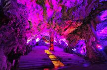 Private Upper Rock Nature Reserve Tour in Gibraltar 1.45hrs