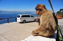 Private Upper Rock Nature Reserve Tour in Gibraltar 1.45hrs