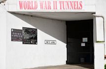3hrs Private Tour in Gibraltar Historical Tunnel Tour 