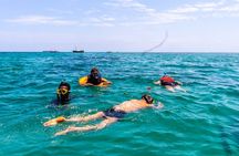 Dolphin Watch & Snorkeling at Kisite Marine Park & Wasini Island