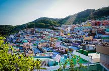 Full Day Busan and Gyeongju Guided Tour