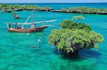 Kwale Island Dhow Sailing Tour from Zanzibar with Seafood Lunch