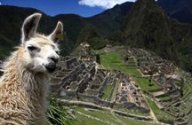 Salkantay Trek to Machu Picchu 