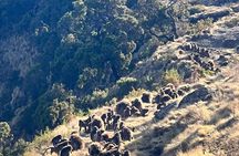 3 Day Simien Mountains Tours