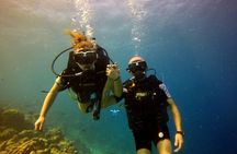 Discover Scuba Diving in Dharavandhoo