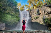 Full Day – Ubud Art Village and Mount Batur Kintamani with Lunch