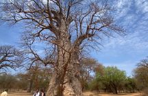 Reserve of Bandia