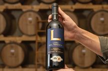 Historical Cellar Visit and Wine Tasting in Salento