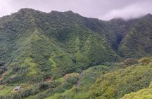 Tahiti Fautaua Valley and Big Waterfall Private Hiking Tour