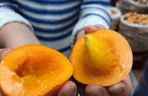 Private Paloquemao Market Tour in Bogota with a Local Guide