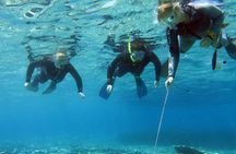 Try Snorkeling in the Sea with the Blue Dolphin Team