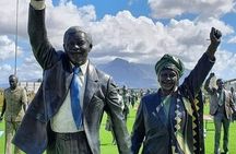Mandela's Long Walk to Freedom Tour and Robben Island Boat Ticket