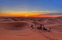 Sahara Escape: 4 Days from Marrakech to Fes