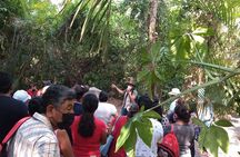 Guided Tour by the Olmec Stone Men