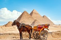 Mummy museum and coptic area and Mohamed Ali mosque